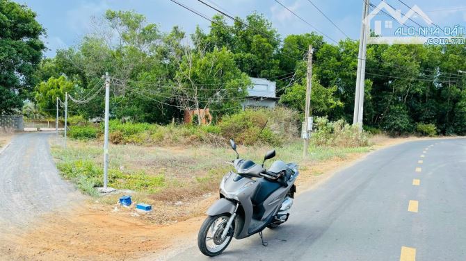 Long Mỹ- Phước Hải Lô đất 75m mặt tiền đường nhựa  2 bên mt hẻm Phủ hông toàn bộ có sẵn 10 - 1