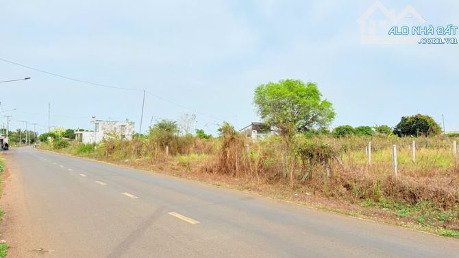 Long Tân- Long Đất- BRVT  DT: 474m2-100m thổ cư ( 7x70) Mặt tiền đường Long Tân- Láng Dài - 1