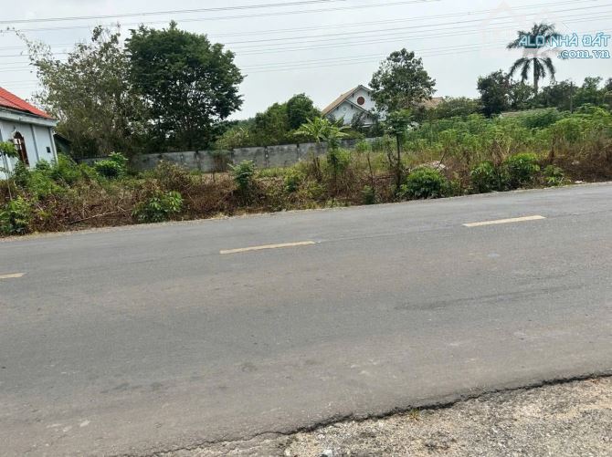 Cần bán đất mặt tiền đường Nguyễn Thị Rành xã Nhuận Đức 39x35 1276m2 106m Thổ sẳn - 1