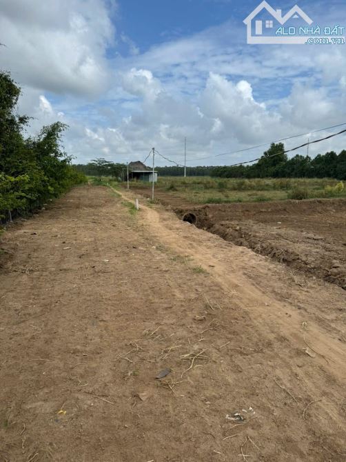 Đất Lúa 30 x 48m Xuân Thới Thượng 2, HM. - 1