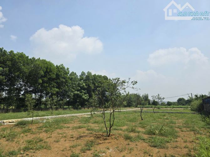 500m2 - Giá 1x - Tách thửa được - Chủ cần tiền cần bán - Vị trí kết nối - Gần DH09 - 1