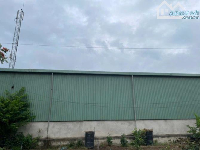 XT392 🆘 Cho thuê xưởng 400 m2 Tam Phước - Đồng Nai - 1