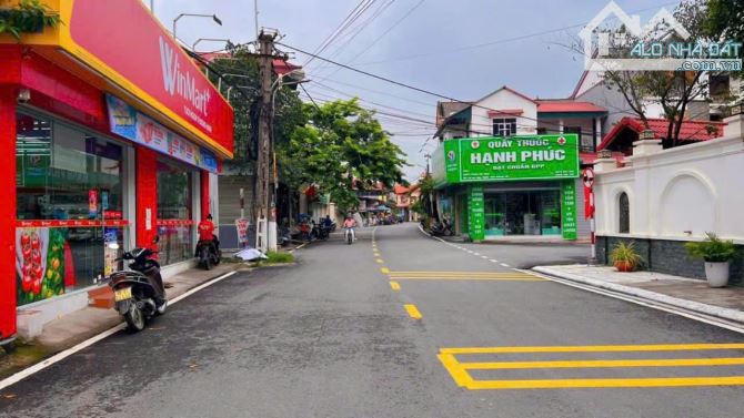 Bán đất 3 mặt tiền xã Hợp Thịnh, Tam Dương. DT 159m2 - 1