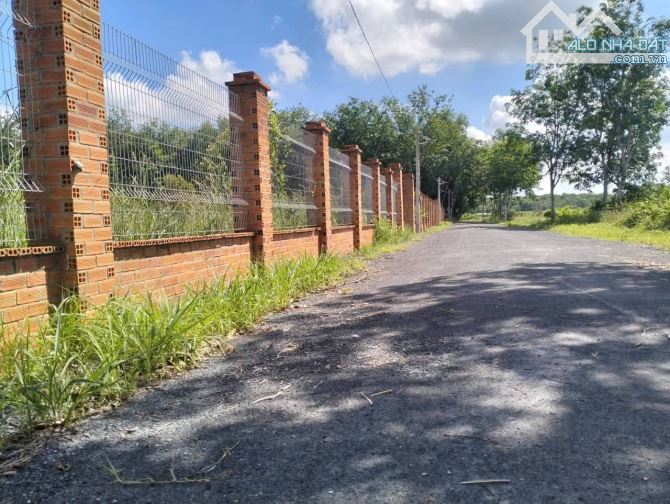 Bán đất khu dân cư đường xe tải sát Nguyễn Thị Rành xã Phú Mỹ Hưng Củ Chi TPHCM, 30x90m. - 1