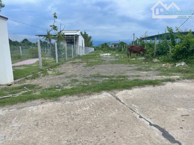 Bán đất vườn Diên Đồng sát bên khu dân cư- đường bê tông oto tới nơi - 1