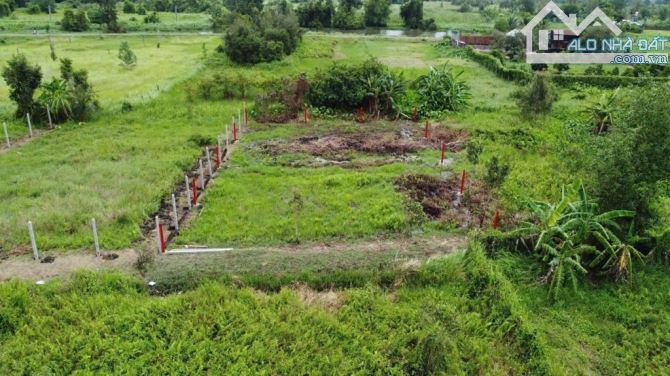 Bán đất phân lô dt 17x29m, sổ 501m2 sát Vành Đai 3, Xã Bình Mỹ, Củ Chi, Giá 1,4 tỷ TL - 1