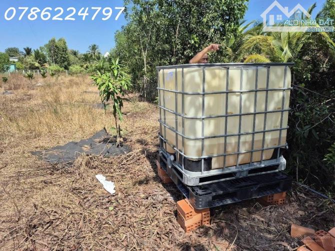 Bán đất 1075 m2 Mỹ Quý Tây, Đức Huệ, Long An, sổ hồng riêng 1.8 tỷ có thể thương lượng - 1