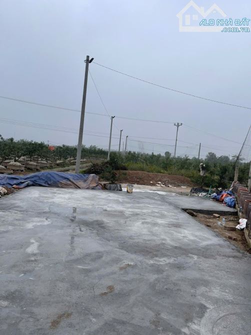 Gia đình tôi cần bán mảnh đất ở thôn bá khê xã văn giang . Hưng yên - 1