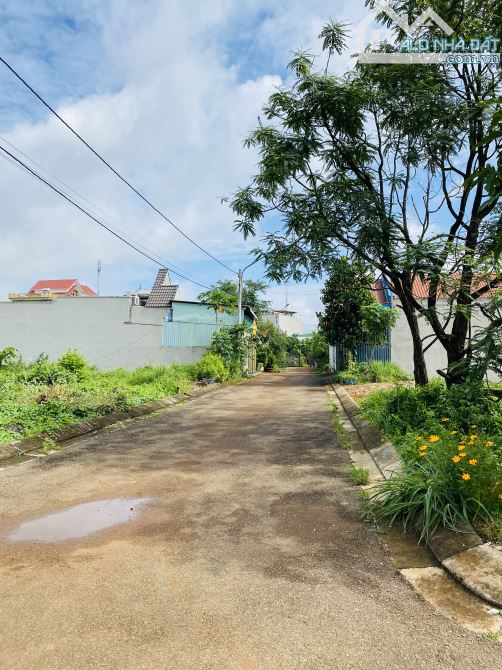 Bán đất nhánh đường số 50 tỉnh lộ 52 Hoà Long, Giá bán: 1,8tỷ - Diện tích: 143m2 - 1