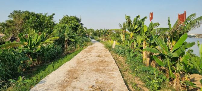 Bán đất mặt sông Mỹ Tân, gần bến Phà Tân Đệ, cơ hội dành cho người thích gần thiên nhiên - 1