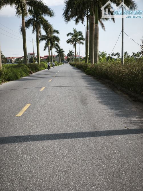 BÁN ĐẤT SONG LIỄU Ô TÔ TRÁNH HÀNG XÓM HỒNG HẠC PHÚ MỸ HƯNG DT 100M2 NHỈNH 3 TỶ - 1