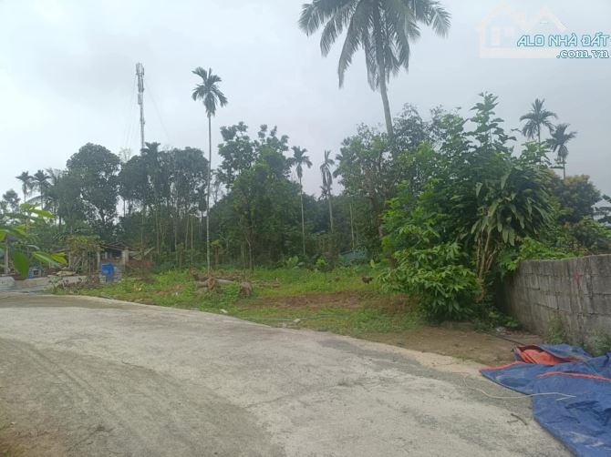 📌📌📌Làm việc trực tiếp!!! 🍀 Bán đất thôn Xuân Phú, xã Hòa Sơn  Dt : 160m, ngang 5.9m.🍀 - 1