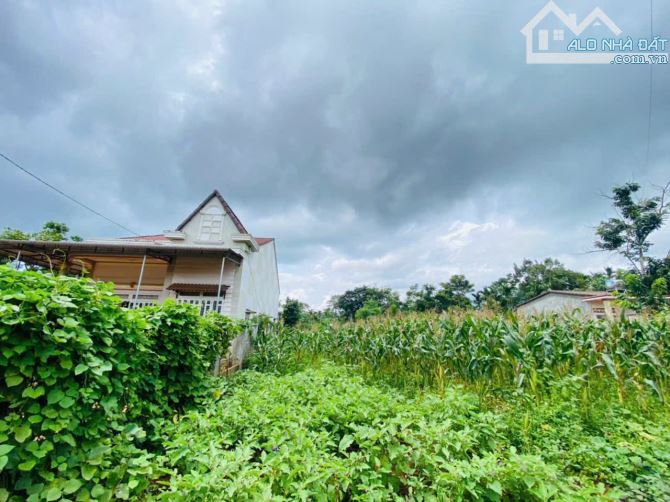 bán đất eaknuech -km19 - giá chỉ 350 triệuj - 1