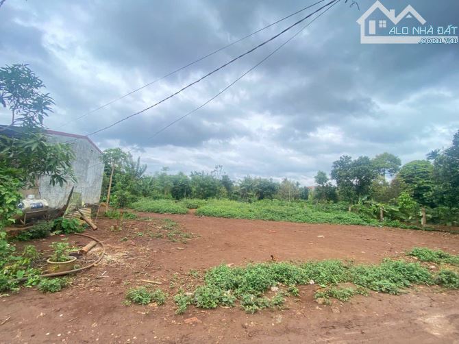 bán đất cuor đăng - giá chỉ 590 triệu - 1