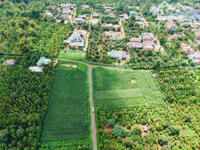bán đất đường D5. giá chỉ 850 triệu - 1