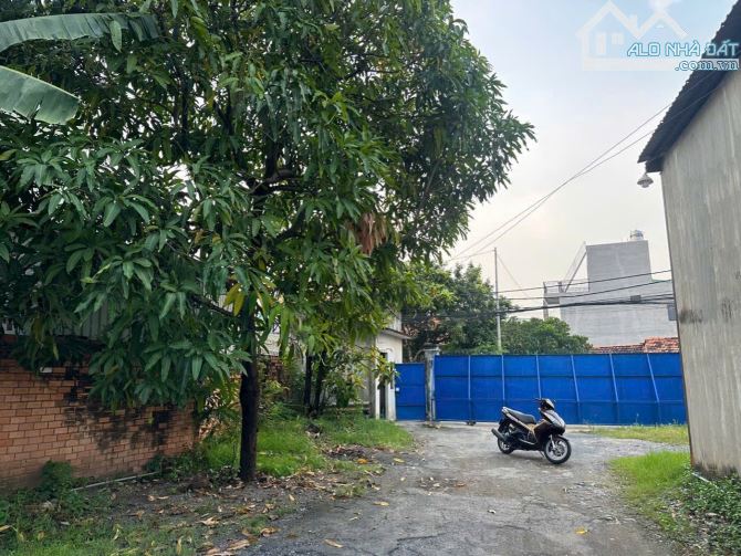 Bán 1800m2 đất sổ riêng tặng nhà xưởng có sẵn Phường Tân Vạn Biên Hoà 23tỷ - 1