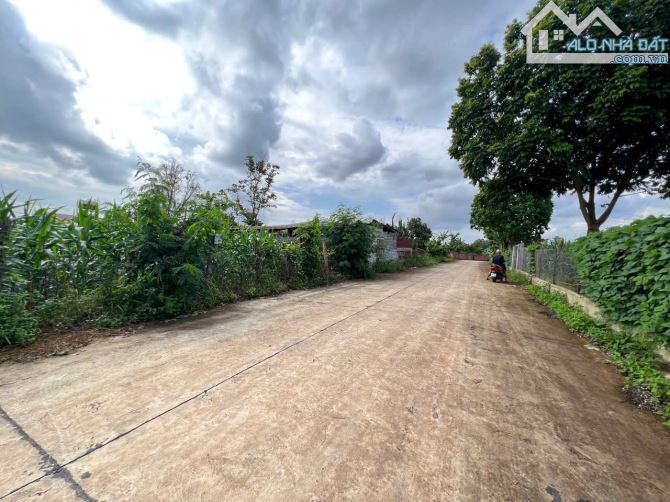 Bán 2 lô thôn 1 eakao - 1.190 tỷ và 990 triệu - 1