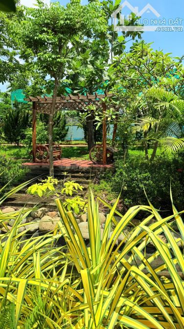 🏡 BÁN KHU NHÀ VƯỜN NGHỈ DƯỠNG CAO CẤP GẦN HỒ – MẶT TIỀN TỈNH LỘ 992 – CHÂU ĐỨC, TP.HCM 💰 - 18
