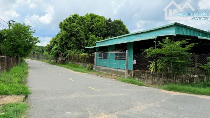 BÁN LÔ ĐẤT GÓC 2 MẶT TIỀN ĐƯỜNG NHỰA SIÊU ĐẸP – CÁCH BIỂN HỒ TRÀM CHỈ 3 PHÚT LÁI XE! - 2