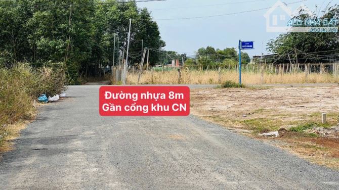 MT Đường Nguyễn Bảo Hoá- Thị trấn Đất Đỏ- BRVT 🌈DT 204m2  - 5x41m - 60tc 👍👍👍Đường nhựa - 2