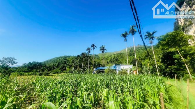 BÁN ĐẤT ĐẸP NGHỈ DƯỠNG – GIÁ CHỈ 1,4 TRIỆU/m² TẠI NẬT SƠN, PHÚ THỌ - 2