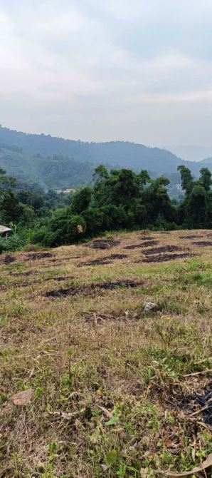 Bán 3200m đất Hợp Nhất, Ba Vì, 400m tc, view thoáng, thế đất cao, oto, 5.5tỷ - 2