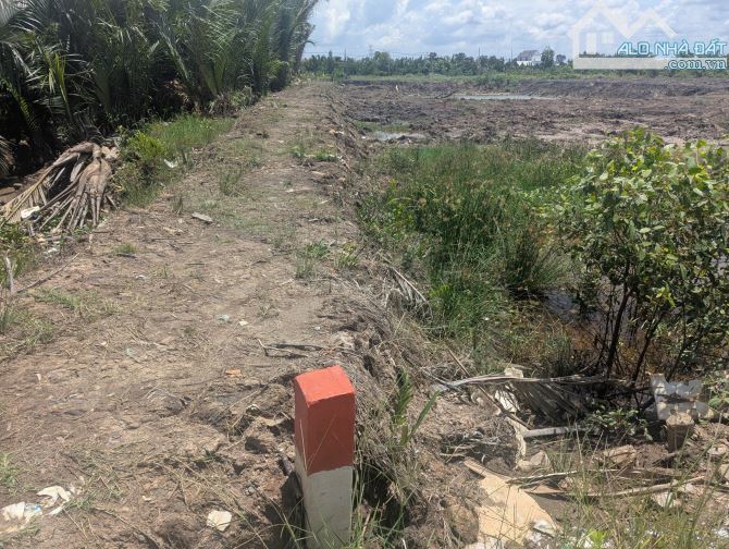 🏭CẦN BÁN GẤP LÔ ĐẤT THỔ CƯ LỚN 1348M2 VIEWS SÔNG SOÀI RẠP BÌNH KHÁNH,CẦN GIỜ CHỈ 9,9TỶ - 2