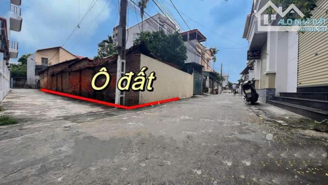 Bán đất 3 mặt tiền xã Hợp Thịnh, Tam Dương. DT 159m2 - 2