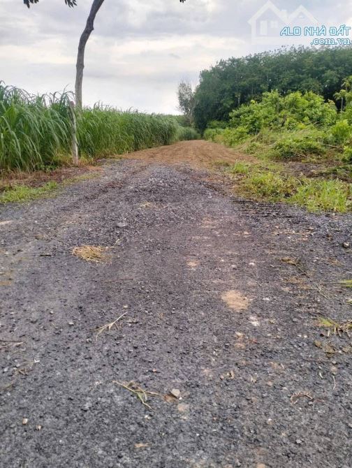 Bán đất khu dân cư đường xe tải sát Nguyễn Thị Rành xã Phú Mỹ Hưng Củ Chi TPHCM, 30x90m. - 2