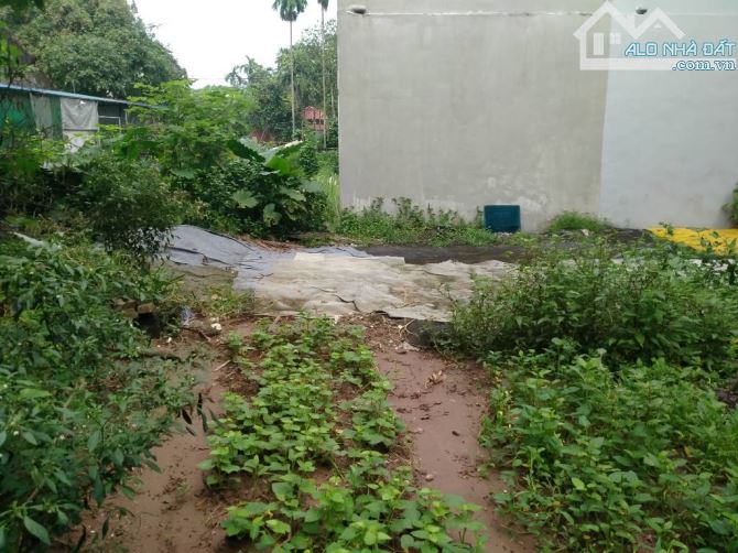 SỞ HỮU NGAY LÔ ĐẤT VÀNG BIÊN GIANG, HÀ ĐÔNG – CƠ HỘI DUY NHẤT CHO NHÀ ĐẦU TƯ - 2