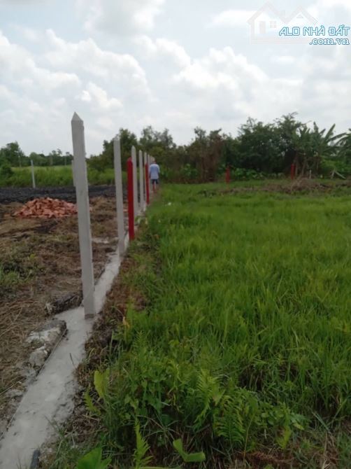 Bán đất phân lô dt 17x29m, sổ 501m2 sát Vành Đai 3, Xã Bình Mỹ, Củ Chi, Giá 1,4 tỷ TL - 2