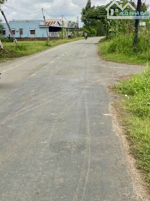 bán gấp 250m2 đất thổ mặt tiền đường nhựa lục viên 1,7tỷ sổ hồng - 2