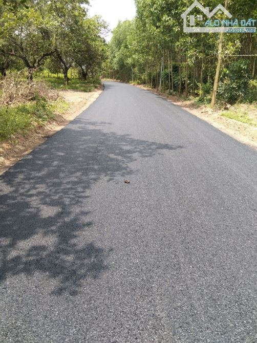 Bán cắt lỗ mảnh đất 500m2 ngay đường Đoàn Thị Điểm đi vào, giá siêu hời chỉ 699 triệu - 2