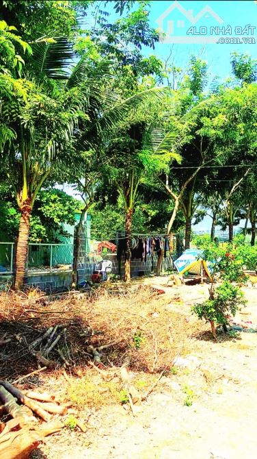 Bán lô đất view sông Cái xã Vĩnh Ngọc . DT 1000m2 , giá 16tỉ còn TL - 2