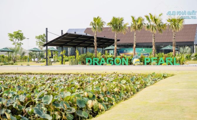 Bán đất nền dự án Dragon Pearl đã có sổ hồng riêng 1.7Tỷ DT 100m2 liền kề HCM 15 phút - 2