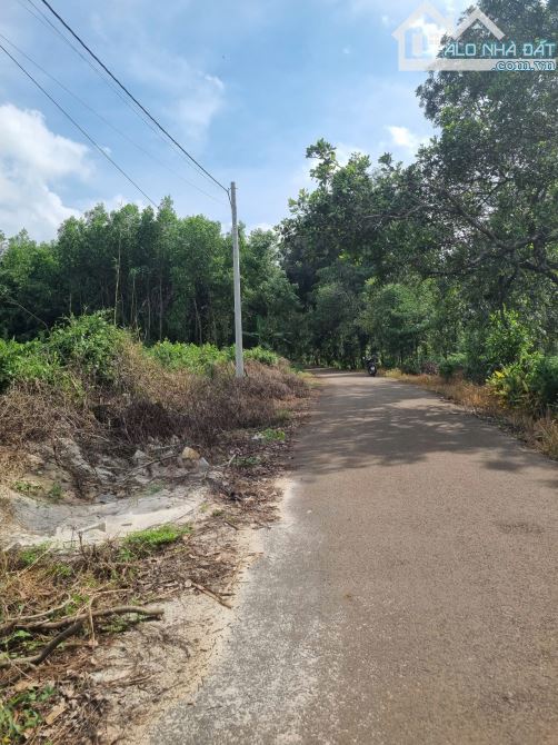 Bán 150m2 (5x30m) Láng Lớn, Châu Đức - 2