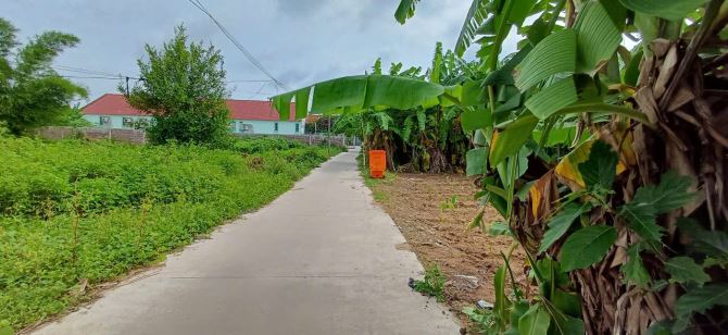 Đại hạ giá miếng đất đẹp full thổ, hẻm xe hơi - 2