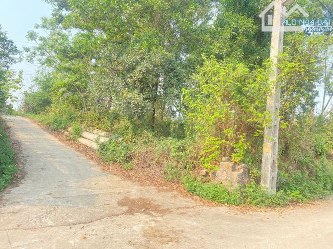 MÌNH CẦN BÁN ĐẤT LÔ GÓC 2 MẶT TIỀN – VỊ TRÍ LÝ TƯỞNG LÀM KHO XƯỞNG - HUYỆN LƯƠNG SƠN - - 2