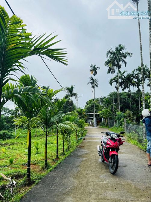 📌📌📌LÀM VIỆC TRỰC TIẾP GIÁ TỐT !!!bán lô đất kiệt ô tô 4m tận nơi- Hoà Phú - 2