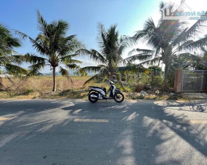 👉Đất Tôn Thất Thuyết, cách đường Ven biển Vũng Tàu - Bình Châu chỉ 100m. - 2