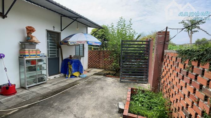 Nhà vườn mặt tiền giá rẻ Đường nhựa lớn Nguyễn Văn Đắc- TT Đất Đỏ- BRVT  DT: 10x30 (298m2- - 3