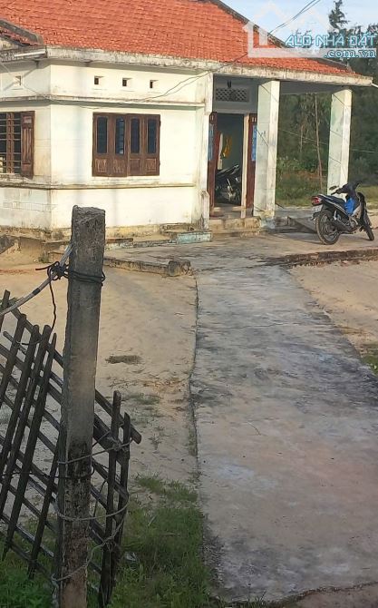 ĐẤT VIEW BIỂN NAM HỘI AN – MẶT TIỀN ĐƯỜNG THANH NIÊN – 2427M² (30×88M) - TBH003 - 3
