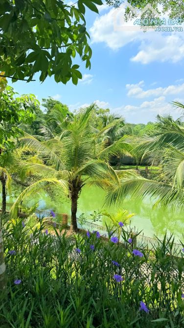 🏡 BÁN KHU NHÀ VƯỜN NGHỈ DƯỠNG CAO CẤP GẦN HỒ – MẶT TIỀN TỈNH LỘ 992 – CHÂU ĐỨC, TP.HCM 💰 - 3