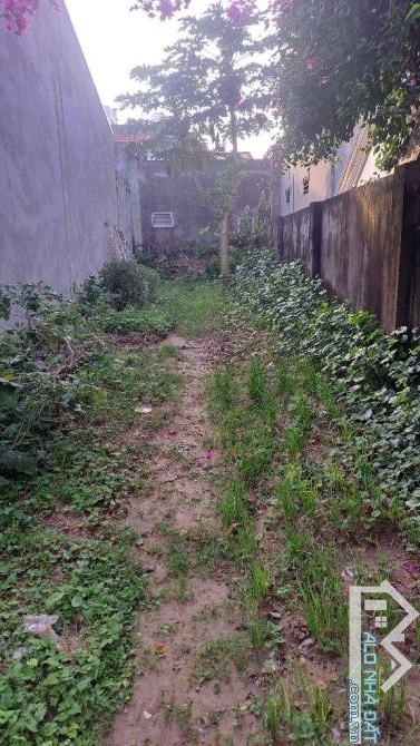 Bán 60m2 Linh Quy Bắc - Kim Sơn, ngõ thông, gần đường ô tô tránh - 3