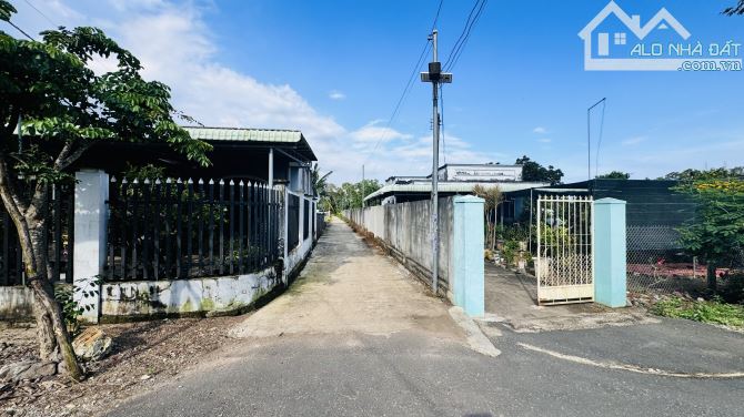 Sát QL55 Xã Đất Đỏ cách biển 10p 2000m2 có 100tc giá 5tỷ - 3