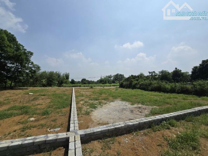 500m2 - Giá 1x - Tách thửa được - Chủ cần tiền cần bán - Vị trí kết nối - Gần DH09 - 3