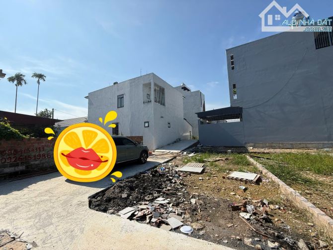 Cơ Hội Sở Hữu Nhà 3 Tầng tại TDP Cổng Đất - 3
