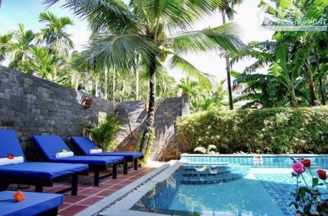 🏡 Villa 400,4m² – Cẩm Nam, Hội An – Nguyễn Tri Phương – View sông thơ mộng – Giá 17,6 tỷ - 3