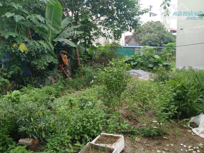 SỞ HỮU NGAY LÔ ĐẤT VÀNG BIÊN GIANG, HÀ ĐÔNG – CƠ HỘI DUY NHẤT CHO NHÀ ĐẦU TƯ - 3