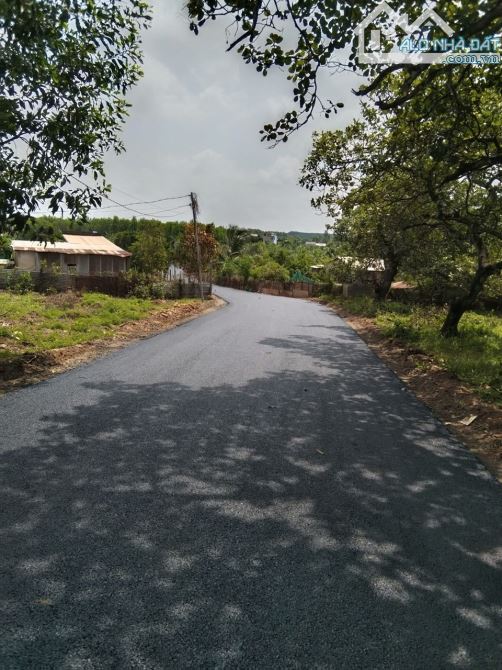 Bán cắt lỗ mảnh đất 500m2 ngay đường Đoàn Thị Điểm đi vào, giá siêu hời chỉ 699 triệu - 3